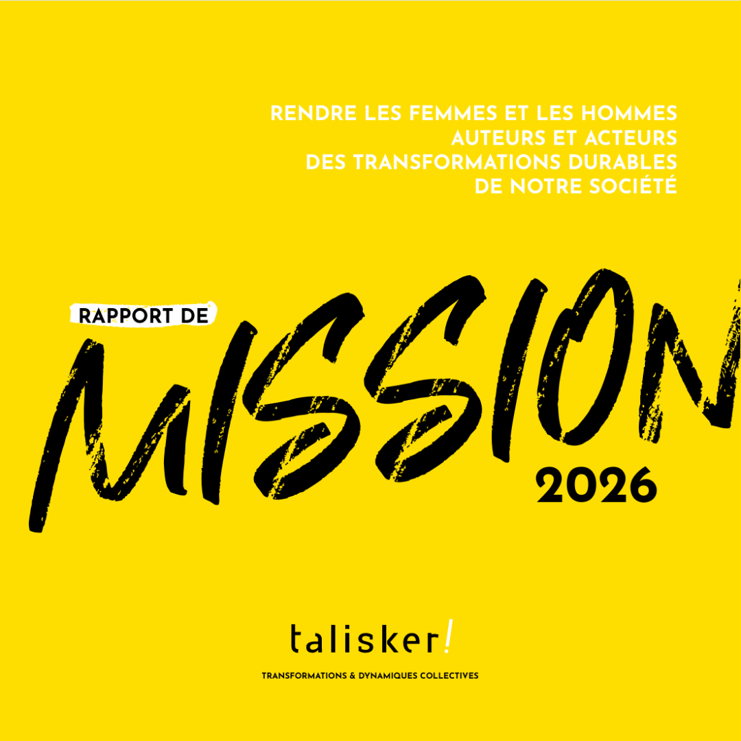 Rapport de Mission 2026